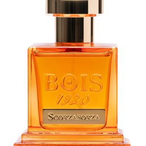 Bois 1920 - Scorzaforza